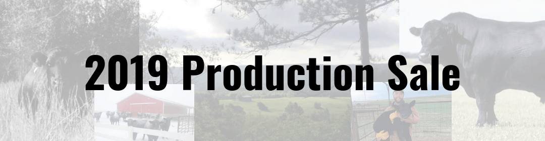2019 Production Sale